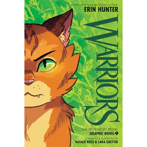 Comics & Graphic Novels