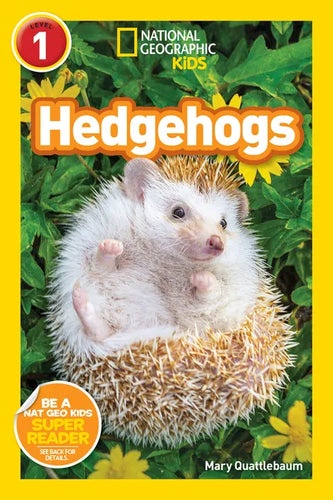 Hedgehogs (National Geographic Kids Readers, Level 1) - Paperback