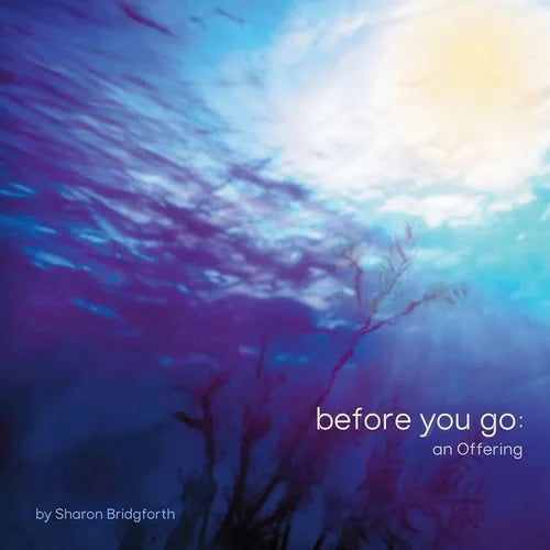 before you go: an Offering - Paperback