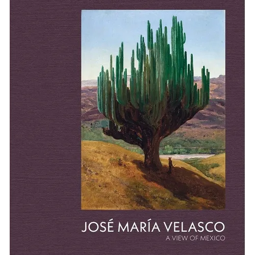 Jose Maria Velasco: A View of Mexico