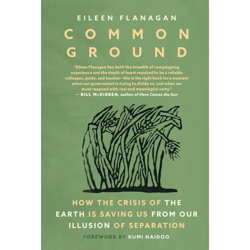 Common Ground: How the Crisis of the Earth Is Saving Us from Our Illusion of Separation