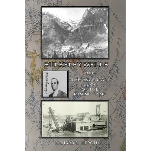 Bulkeley Wells And The Uncertain Luck Of The Mining Game - Paperback