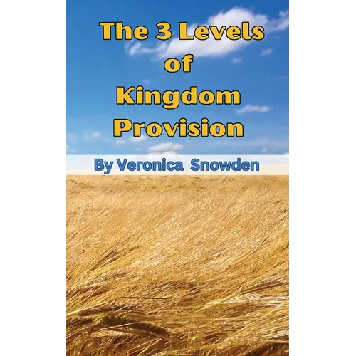 The 3 Levels of Kingdom Provision: Discover How God Provides For His Children Regardless of Income, Education or Background